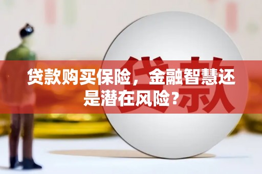 铜山贷款购买保险，金融智慧还是潜在风险？