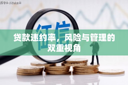 铜山贷款违约率，风险与管理的双重视角