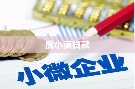 铜山度小满贷款