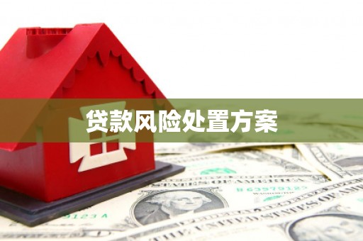 铜山贷款风险处置方案