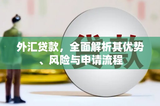 铜山外汇贷款，全面解析其优势、风险与申请流程