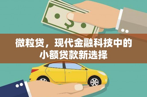 铜山微粒贷，现代金融科技中的小额贷款新选择
