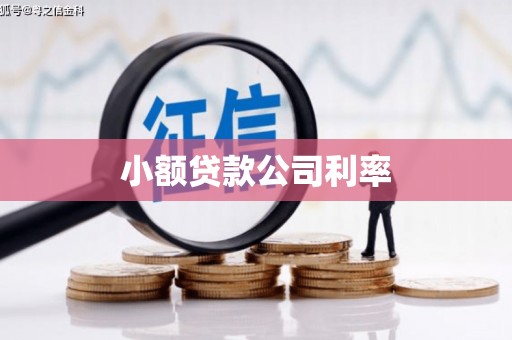 铜山小额贷款公司利率