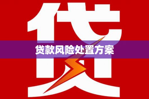 铜山贷款风险处置方案