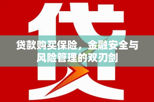 铜山贷款购买保险，金融安全与风险管理的双刃剑
