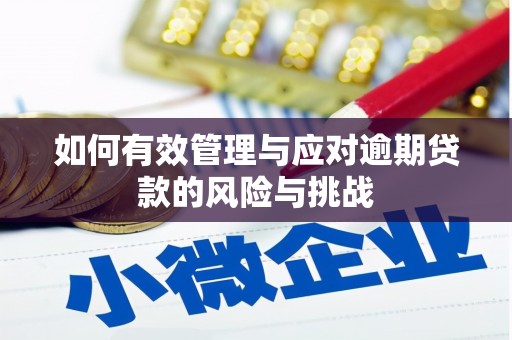 铜山如何有效管理与应对逾期贷款的风险与挑战