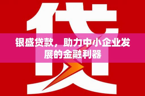 铜山银盛贷款，助力中小企业发展的金融利器