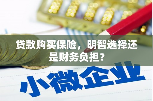 铜山贷款购买保险，明智选择还是财务负担？
