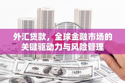 铜山外汇贷款，全球金融市场的关键驱动力与风险管理