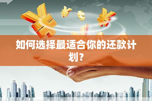 铜山如何选择最适合你的还款计划？