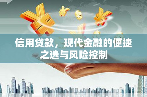 铜山信用贷款，现代金融的便捷之选与风险控制