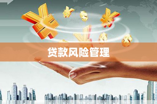 铜山贷款风险管理
