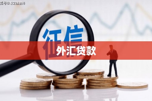 铜山外汇贷款