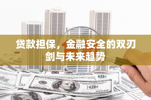 铜山贷款担保，金融安全的双刃剑与未来趋势