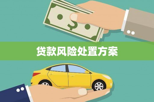 铜山贷款风险处置方案