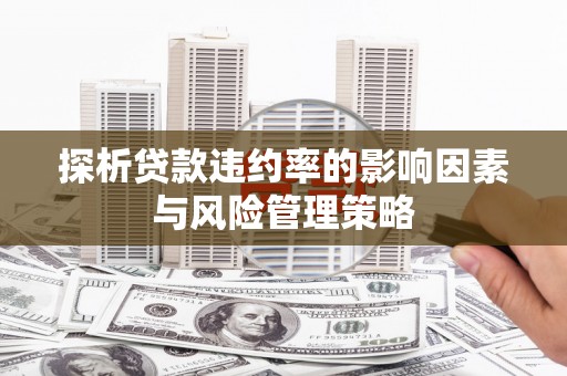 铜山探析贷款违约率的影响因素与风险管理策略