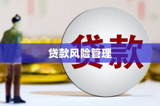 铜山贷款风险管理