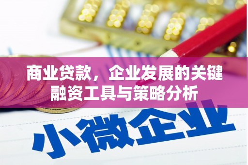 铜山商业贷款，企业发展的关键融资工具与策略分析