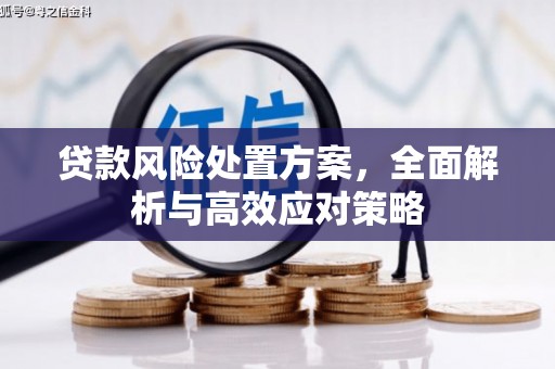 铜山贷款风险处置方案，全面解析与高效应对策略