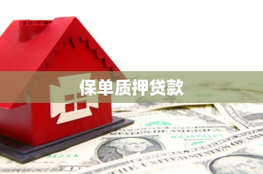 铜山保单质押贷款