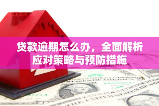 铜山贷款逾期怎么办，全面解析应对策略与预防措施