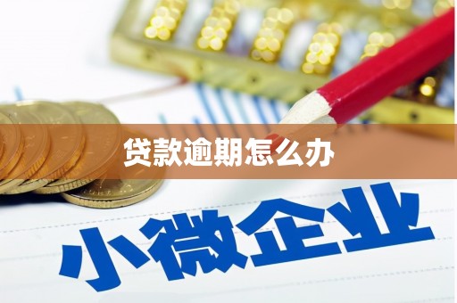 铜山贷款逾期怎么办