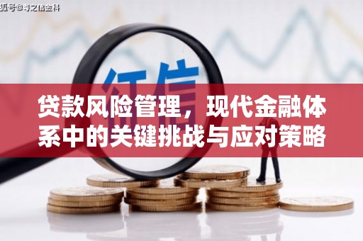 铜山贷款风险管理，现代金融体系中的关键挑战与应对策略