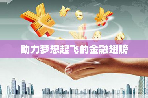 铜山助力梦想起飞的金融翅膀