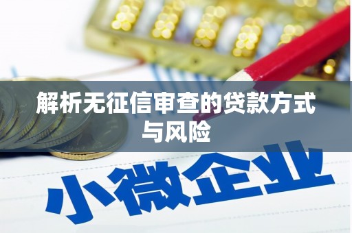 铜山解析无征信审查的贷款方式与风险