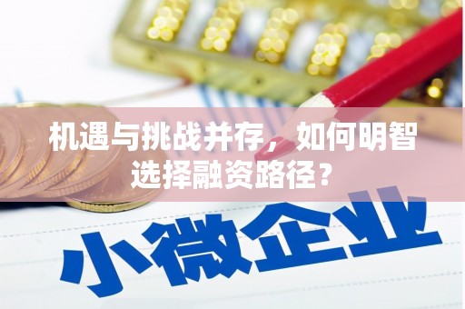 铜山机遇与挑战并存，如何明智选择融资路径？