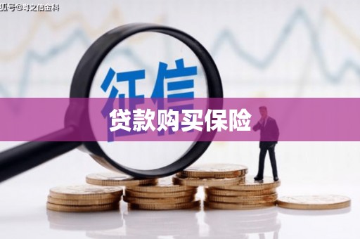 铜山贷款购买保险